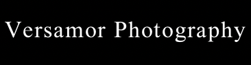 Mt Fuji & Kawaguchiko Surprise Proposal Photographer | Versamor Photography